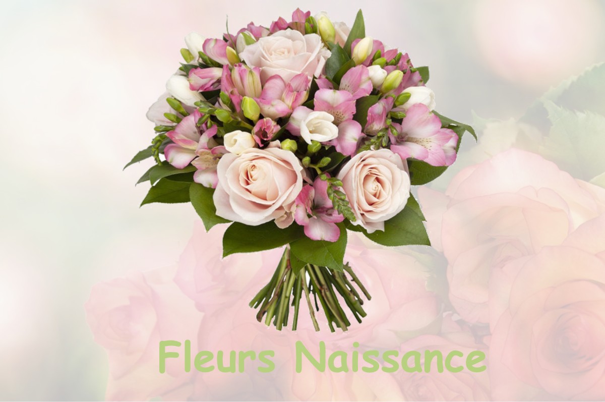 fleurs naissance BUSSY-LE-CHATEAU