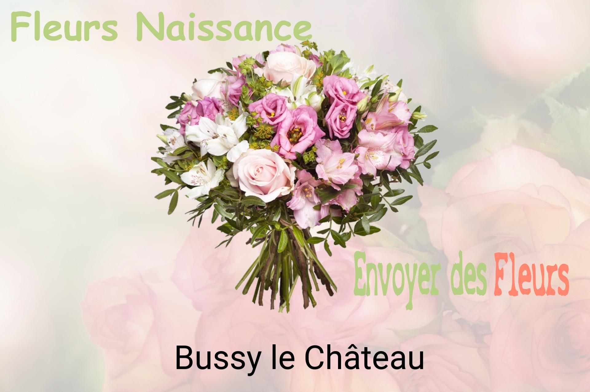 Bouquet de fleurs de naissance livré à Bussy-le-Château